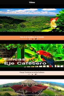 Free Download Las Antorchas de Salento APK for Android