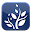 Lets Nurture Download on Windows