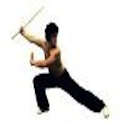 Martial Arts Around the World logo