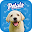 Poppy Play Download on Windows