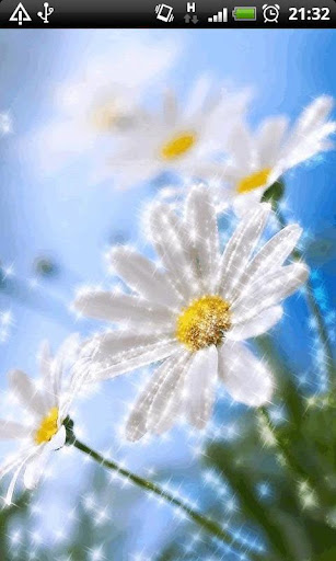 【免費個人化App】Daisy Sparkle Live Wallpaper-APP點子