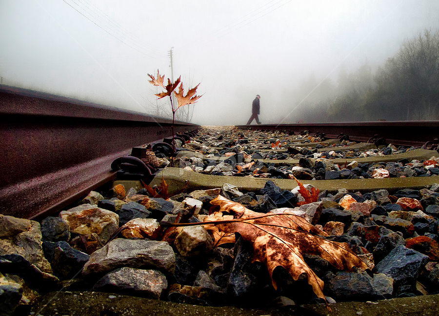 Passing by  by Gregory Dallis - People Street & Candids