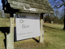Lamb of God Lutheran Church