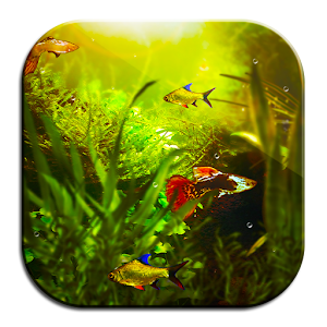 Fish Tank HD Wallpapers App 1.0
