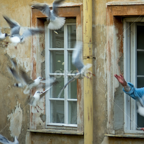 ... symbiosis ... by Roberto Nencini - People Street & Candids