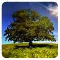 NaturePix (HD) logo