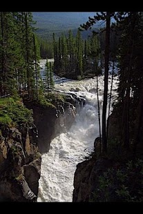 Lastest Free Great Photos & Wallpapers APK for Android