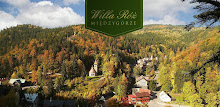 Villa roses - Międzygórze APK