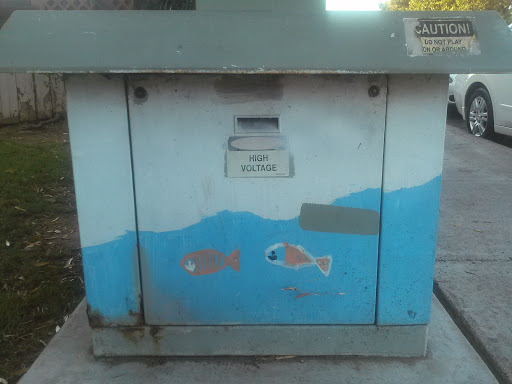 Painted Fish Transformer