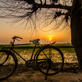 Pedal Power by Avanish Dureha - Transportation Bicycles