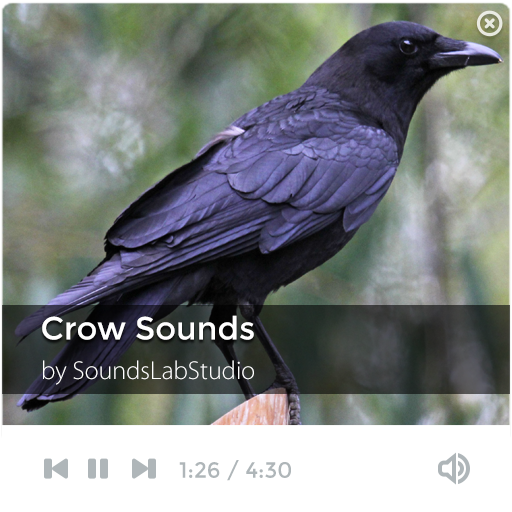 免費下載音樂APP|Crow Sounds app開箱文|APP開箱王