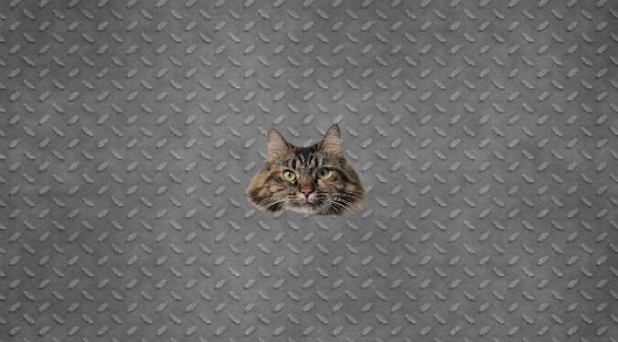 How to mod Cat Box patch 1.0 apk for laptop