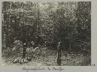 Begraafplaats te Berlijn