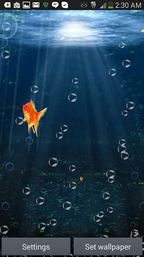 免費下載個人化APP|Goldfish Swim In Phone LWP app開箱文|APP開箱王