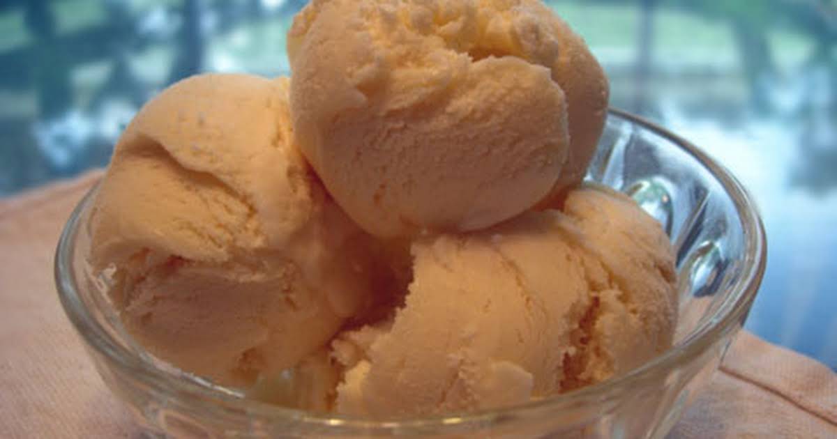 10 Best Homemade Vanilla Ice Cream with Whole Milk Recipes | Yummly