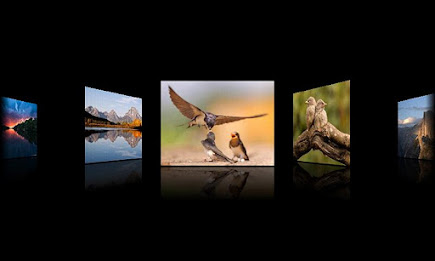 CoverFlow Pro (no ad) poster 2