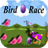 Bird Egg Race mobile app icon
