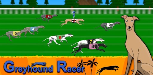 Изображения Greyhound Racer на ПК с Windows