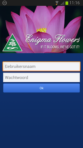 Enigma Flowers