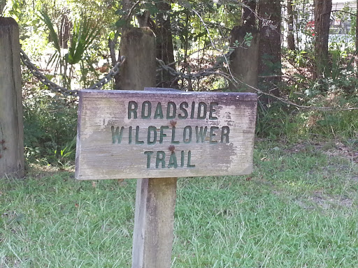 Barataria Park Roadside Wildflower Trail