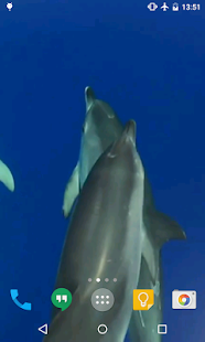download Dolphins Live Wallpaper free