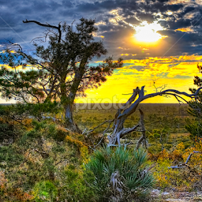 Sunset in JDSP by Sandy Friedkin - Landscapes Sunsets & Sunrises