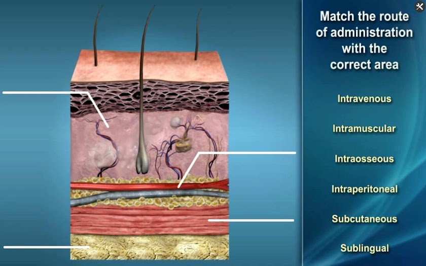Medrills: Administer Medicine Screen 3