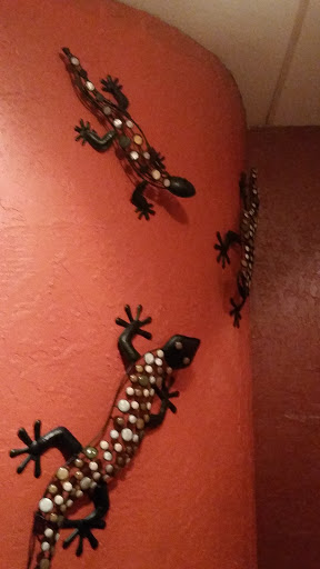Salamander Wall