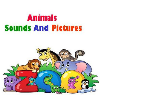 Zoo Animal Sounds And Pictures