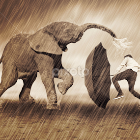 BERKELAHI DENGAN GAJAH by Ilham Abdi - Digital Art Animals