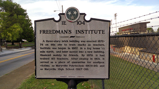 Freedman's Institute