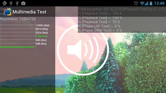 Multimedia Test Screenshots 3
