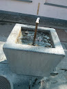 Albisgüetli Fountain