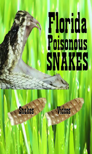 Florida Poisonous Snakes