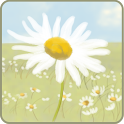 Daisypath logo