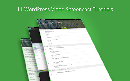 Learn Wordpress SEO poster 5
