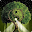 Il Giardino degli Illuminati Download on Windows