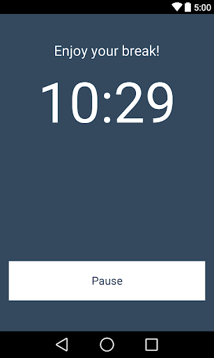 Revision Timer