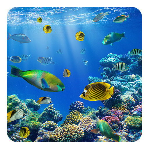 Underwater World LWP 個人化 App LOGO-APP開箱王