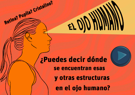 El Ojo Humano