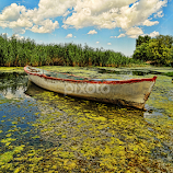 Serenity by Berrin Aydın -  