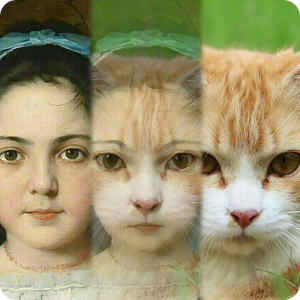 Zooface - GIF Animal Morph 1.3