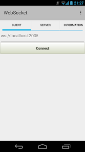 WebSocket Screenshots 10