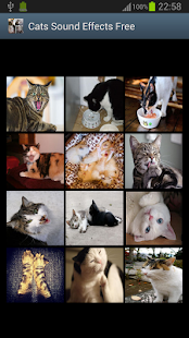 How to download Cats Sound Effects Free 1.0 mod apk for android