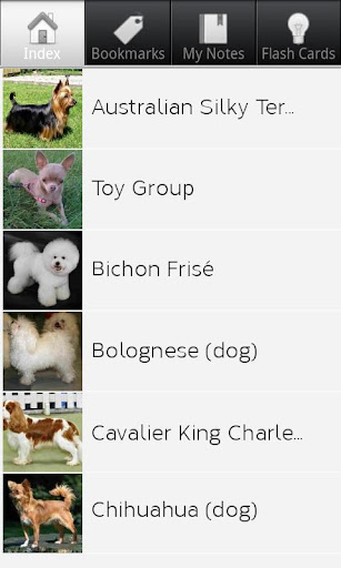 Toy Dog Breeds