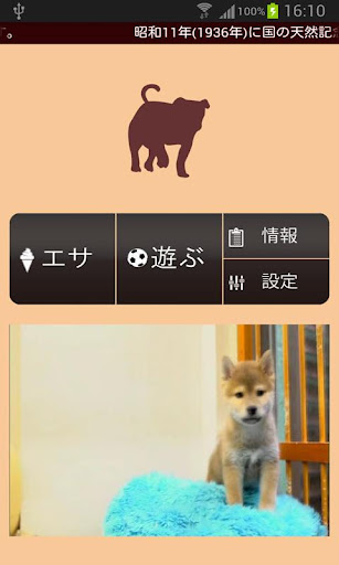 【無料育成】ポケット哺乳類（イヌ）～柴犬～