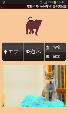 無料育成 ポケット哺乳類 イヌ 柴犬 Androidアプリ Applion