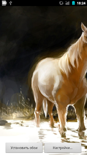 Horses HQ Live Wallpaper