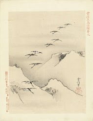 Ganzen vliegend boven bergen