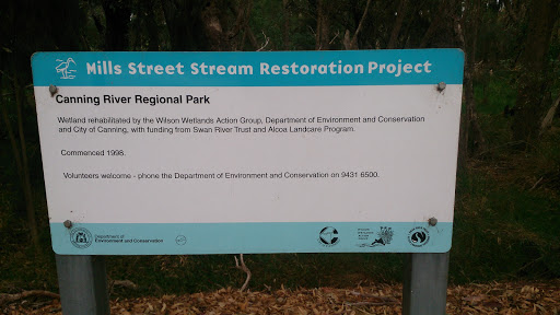 Mills Street Stream Restoration Project